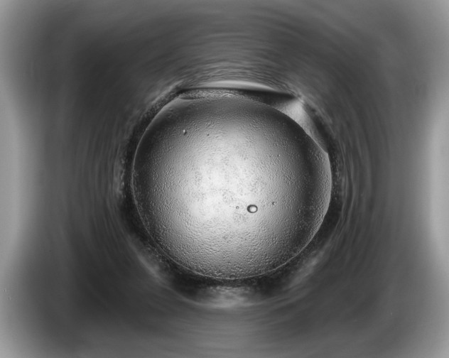 X0000087570255200704271252