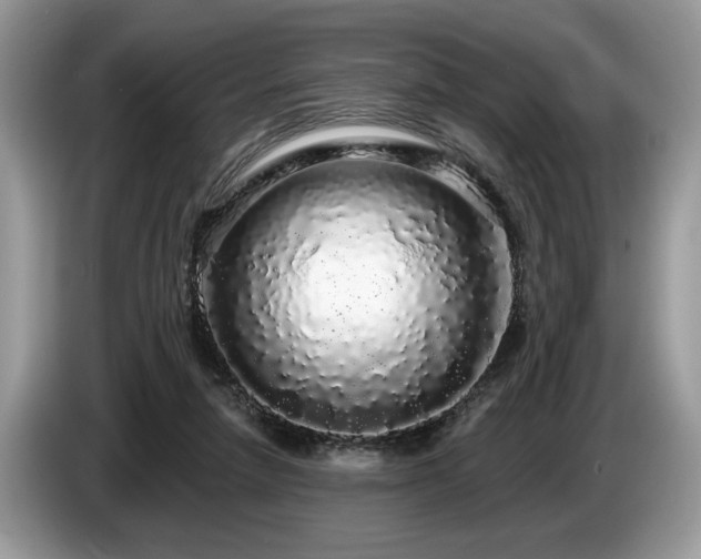X0000087570258200704271252