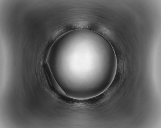 X0000087570259200704271252