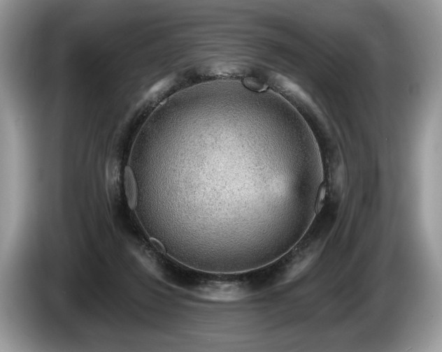 X0000087570260200704271252