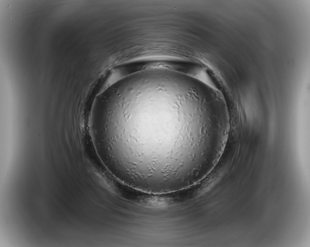 X0000087570261200704271252