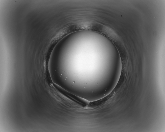 X0000087570262200704271252