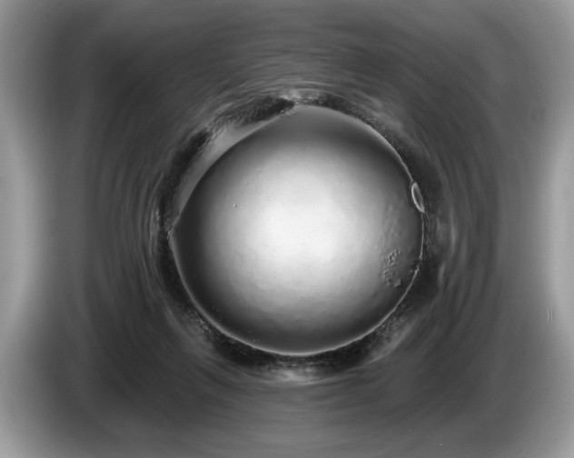 X0000087570263200704271252