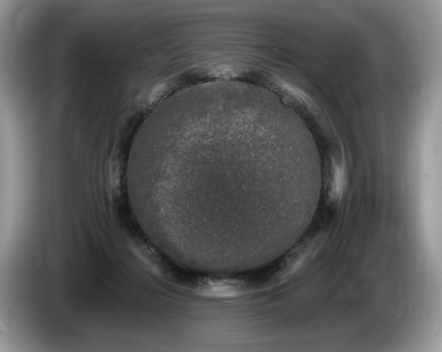 X0000087570268200704271252