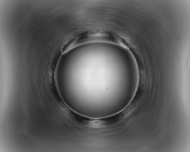 X0000087570269200704271252