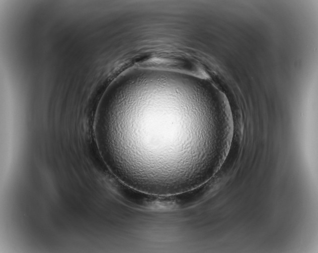 X0000087570270200704271252