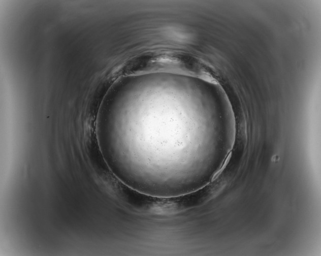 X0000087570271200704271252