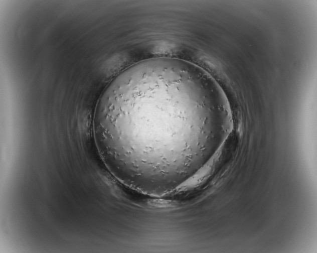 X0000087570273200704271252