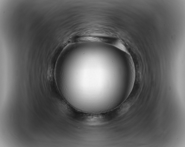 X0000087570274200704271252