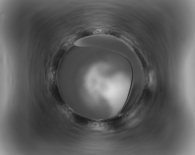 X0000087570276200704271253