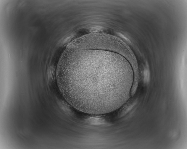X0000087570280200704271253