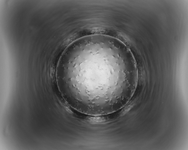 X0000087570281200704271253