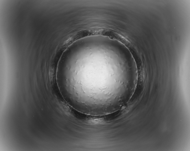 X0000087570283200704271253
