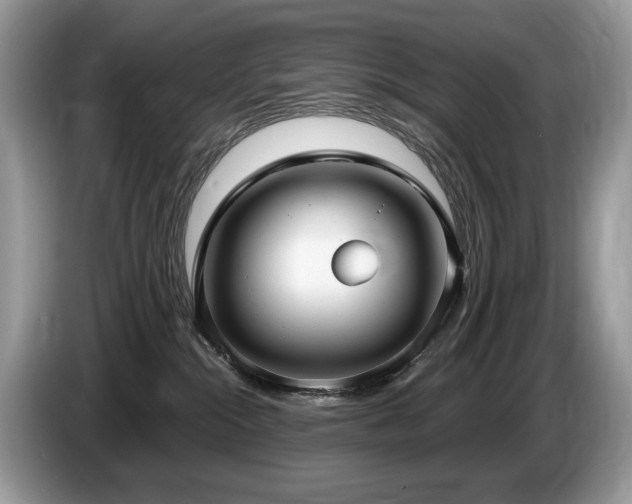 X0000087570284200704271253