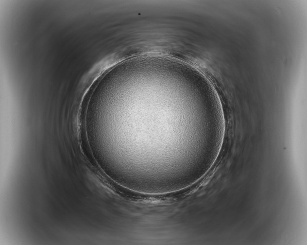 X0000087570290200704271252