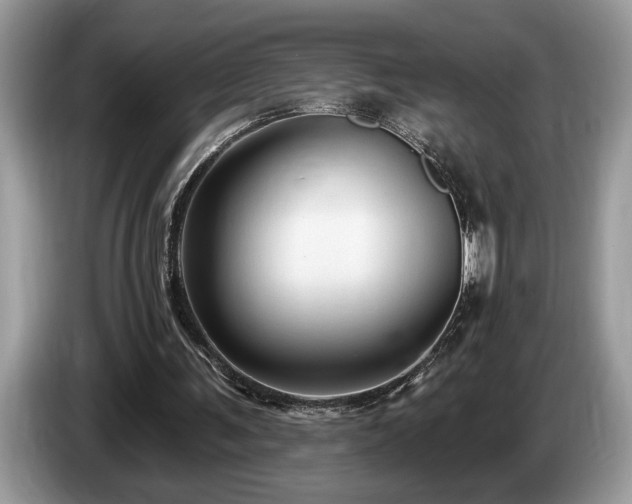 X0000087570291200704271252