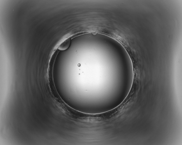 X0000087570292200704271252