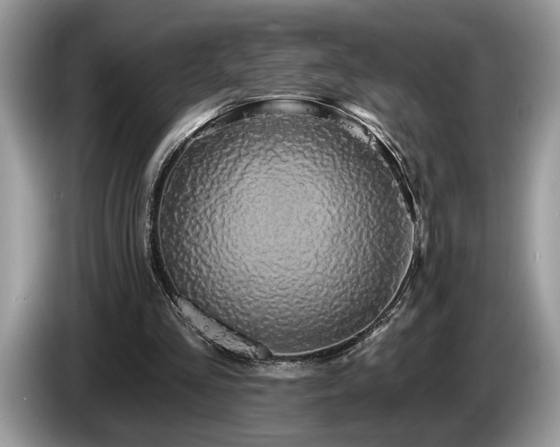 X0000087570293200704271252
