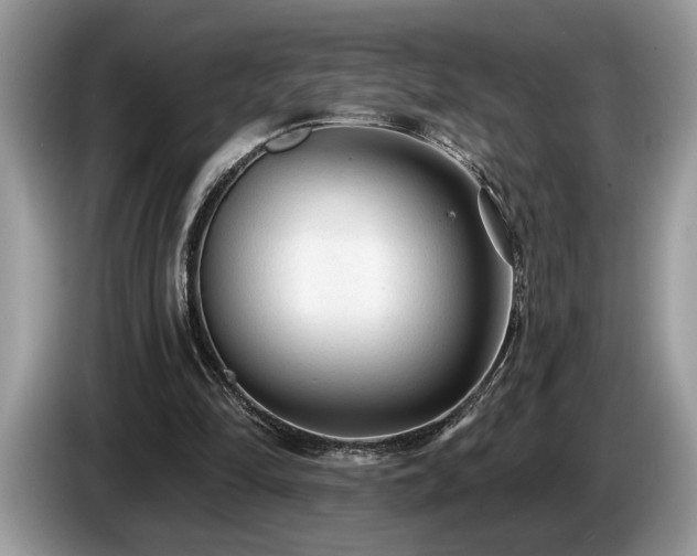 X0000087570294200704271252