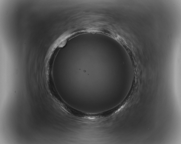 X0000087570295200704271252