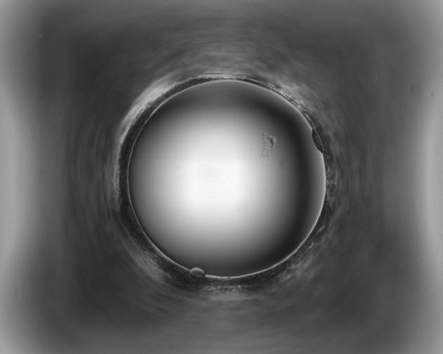X0000087570296200704271252