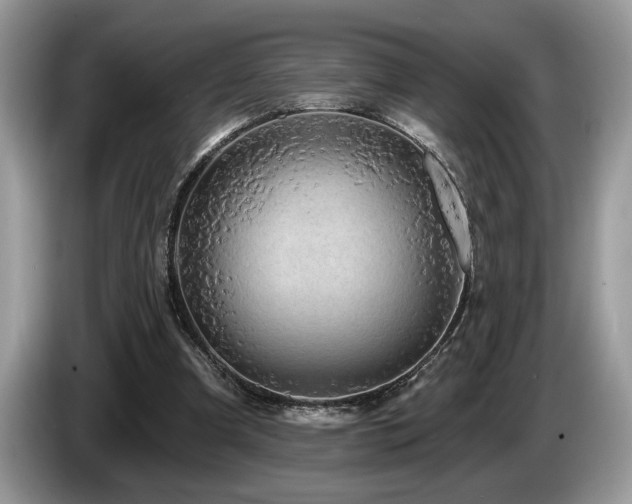X0000087570297200704271252