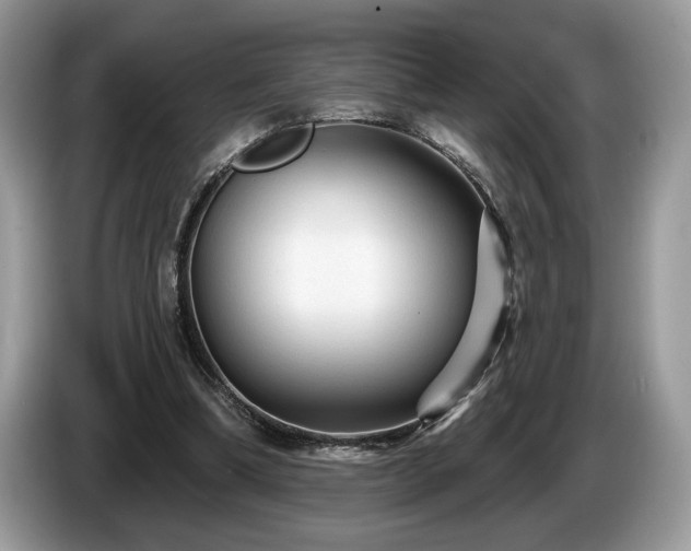 X0000087570298200704271252