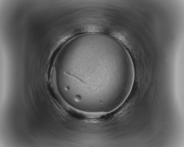 X0000087570299200704271252