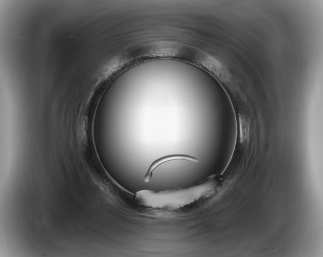 X0000087570300200704271252