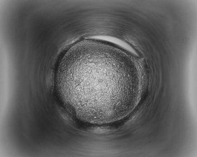 X0000087570303200704271252