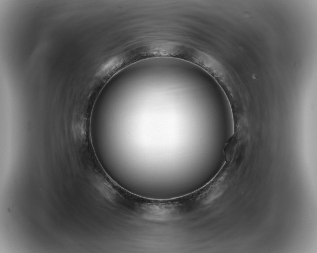 X0000087570305200704271252