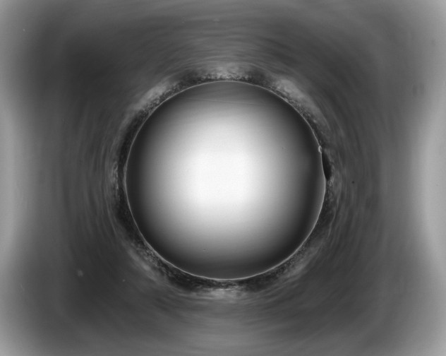 X0000087570306200704271252