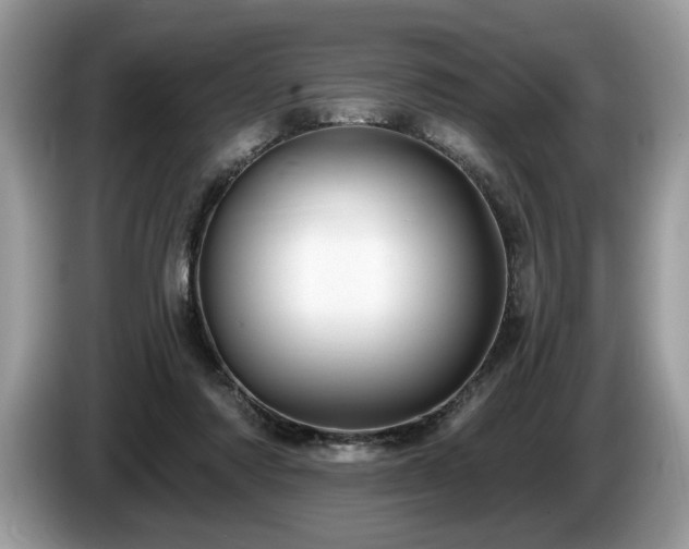 X0000087570310200704271252