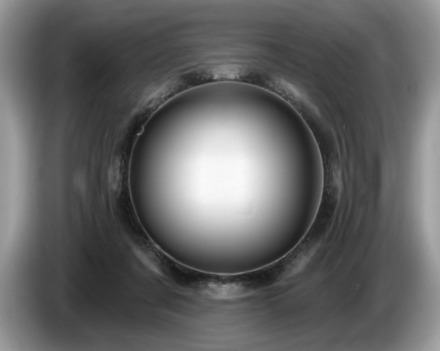 X0000087570311200704271252