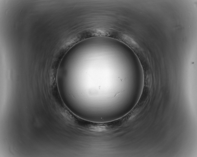 X0000087570318200704271252