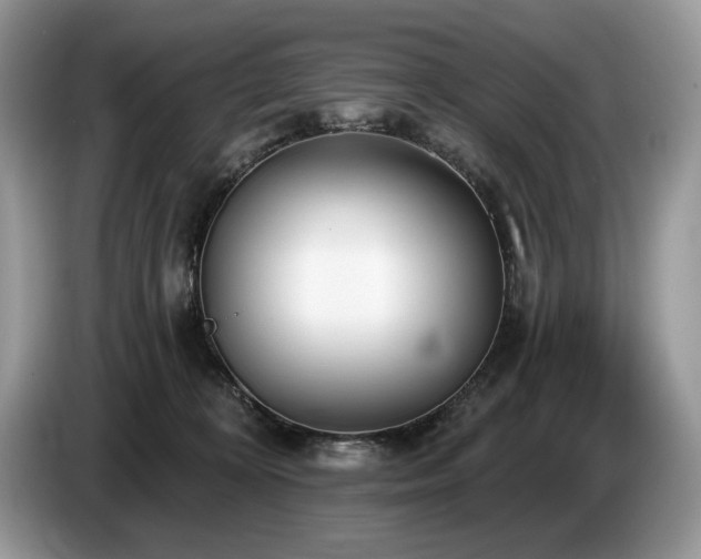 X0000087570324200704271252