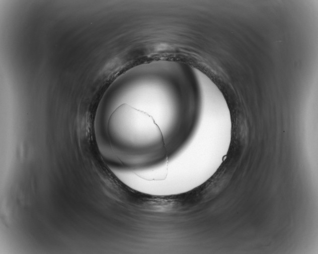 X0000087570328200704271251
