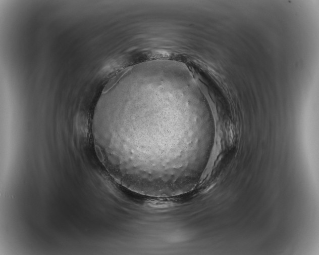 X0000087570331200704271251
