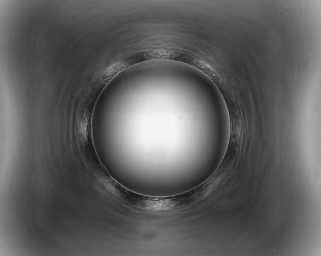X0000087570334200704271251