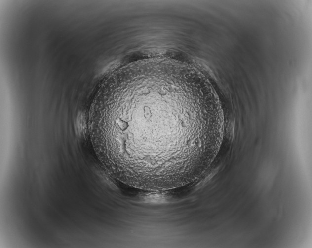 X0000087570335200704271251