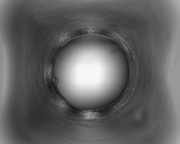 X0000087570336200704271251