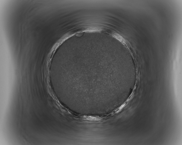 X0000087570337200704271251