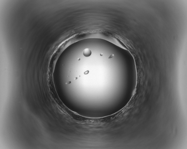 X0000087570338200704271251
