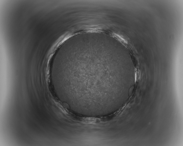 X0000087570339200704271251