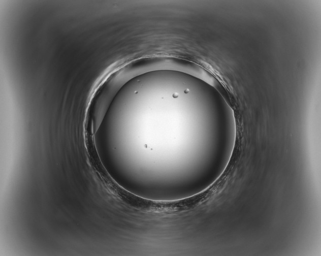 X0000087570340200704271251