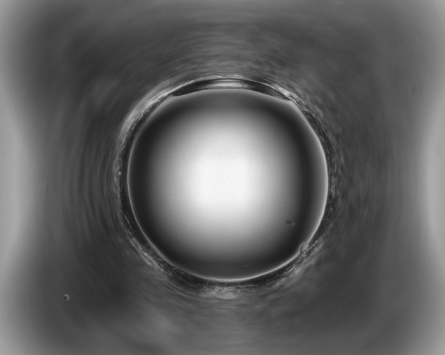 X0000087570341200704271251