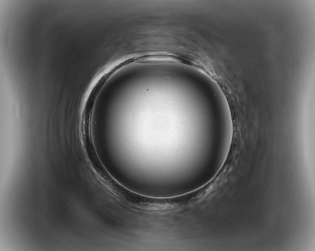 X0000087570342200704271251