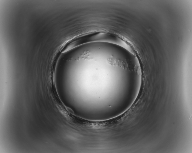 X0000087570345200704271251
