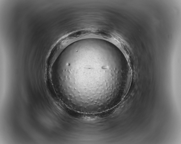 X0000087570346200704271251