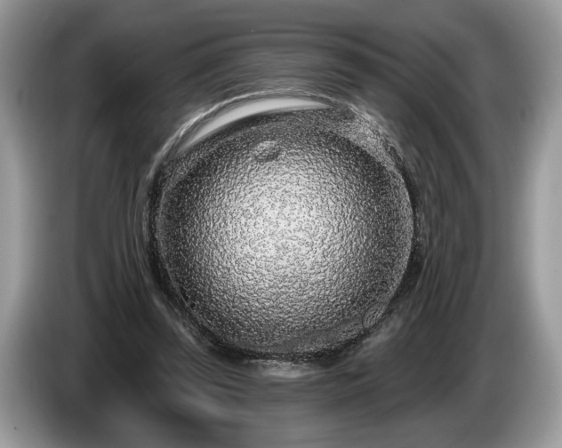 X0000087570347200704271251